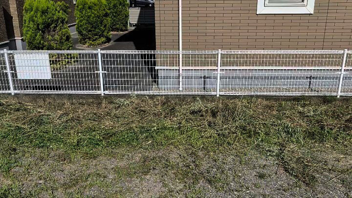 今日は朝から駐車場の草刈り